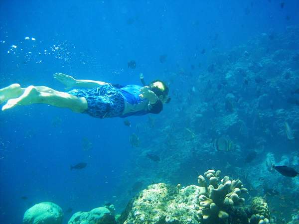 Peter swims with the fish